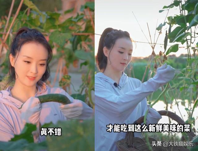 养花大亨安卓手机版热血传奇手机版安卓安装包-第12张图片-亚星国际官网