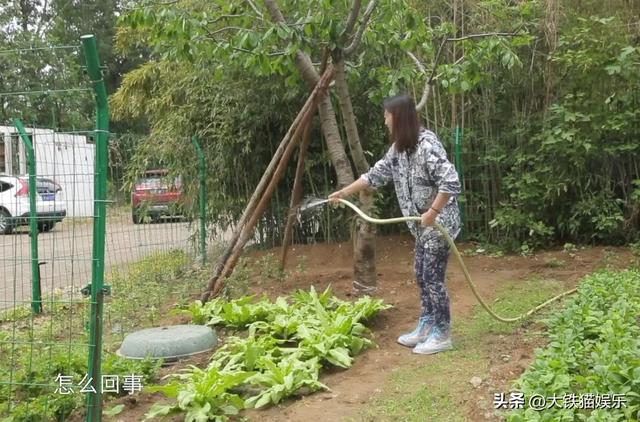 养花大亨安卓手机版热血传奇手机版安卓安装包-第17张图片-亚星国际官网