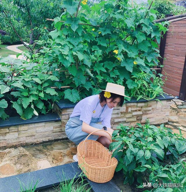 养花大亨安卓手机版热血传奇手机版安卓安装包-第21张图片-亚星国际官网