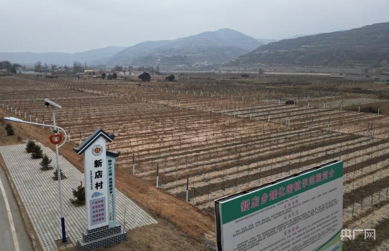 家庭版苹果树如何修剪:瞰县域丨甘肃静宁：果园提质增效“三步曲”-第3张图片-亚星国际官网
