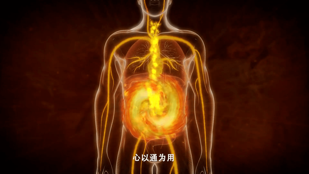 益考通苹果版
:重庆中医名科巡礼 | 《一分钟说中医》特别企划——北碚区中医院心血管科-第10张图片-亚星国际官网