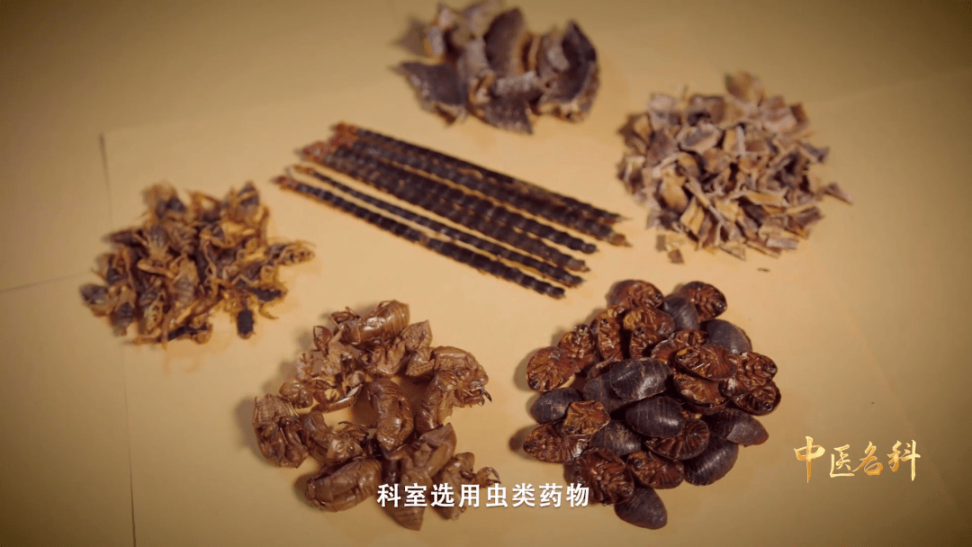 益考通苹果版
:重庆中医名科巡礼 | 《一分钟说中医》特别企划——北碚区中医院心血管科-第11张图片-亚星国际官网