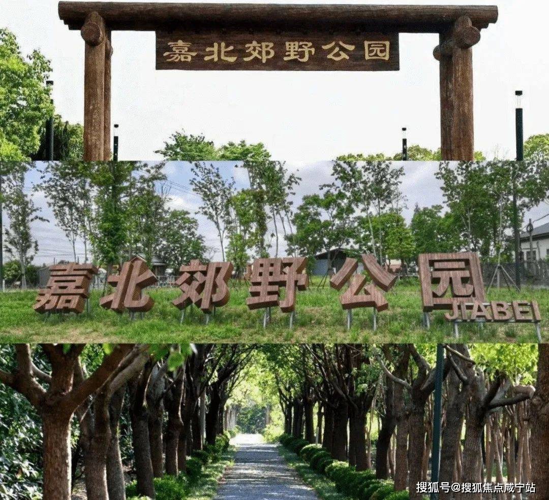 恒房通苹果版
:嘉隆骏楼盘详情-电话-位置-房价-嘉隆骏户型图-嘉隆骏售楼处展示中心-第8张图片-亚星国际官网