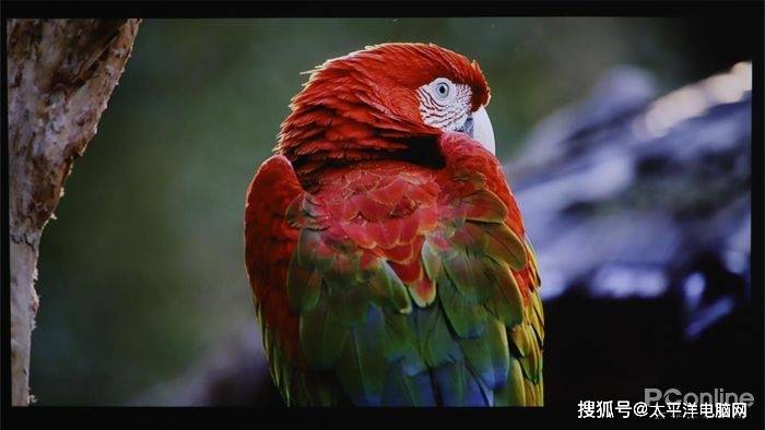 苹果版当贝遥控:当贝X5激光投影体验评测：高亮、高性能双加持-第12张图片-亚星国际官网