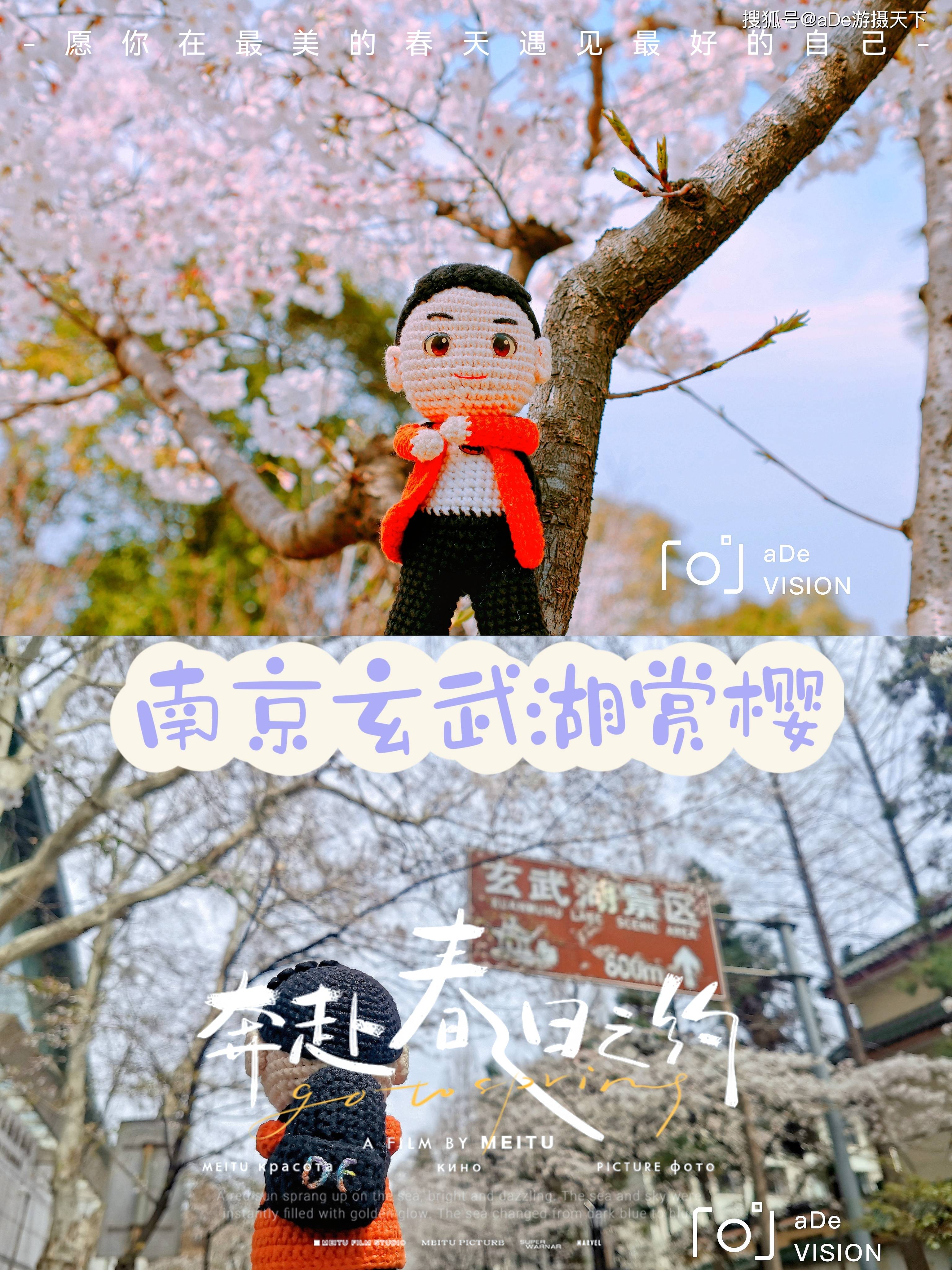 手机漫游:南京玄武湖春季赏樱