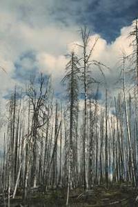 卡噗苹果版下载-第2张图片-亚星国际官网 卡噗苹果版下载-第2张图片-亚星国际官网