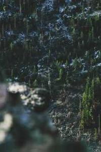 侏罗纪手机版壁纸下载苹果-第4张图片-亚星国际官网 侏罗纪手机版壁纸下载苹果-第4张图片-亚星国际官网