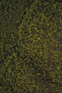 趣恋爱苹果版下载-第2张图片-亚星国际官网