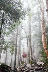 苹果版埋雷下载网站-第4张图片-亚星国际官网 苹果版埋雷下载网站-第4张图片-亚星国际官网