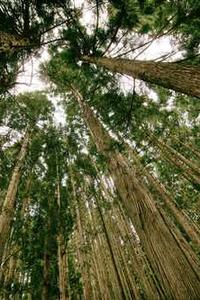 退系统苹果手机版-第2张图片-亚星国际官网 退系统苹果手机版-第2张图片-亚星国际官网
