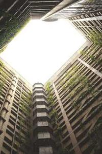 泰版单卡苹果13-第2张图片-亚星国际官网 泰版单卡苹果13-第2张图片-亚星国际官网