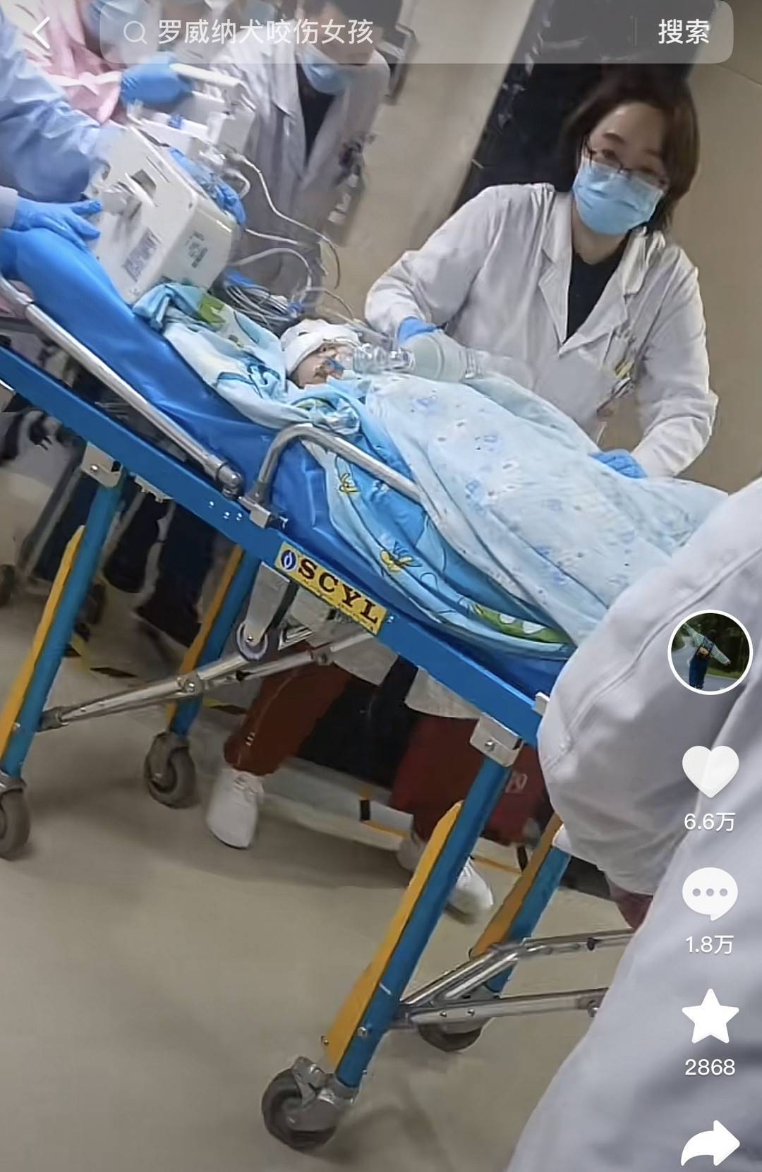 官方通报狗主人被刑拘 现场回访：业主称此前看到该犬在小区溜达，质疑物业不作为-第2张图片-亚星国际官网