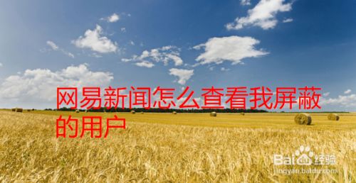 安卓网易新闻屏蔽广告自动看广告挂机赚钱安卓-第2张图片-亚星国际官网