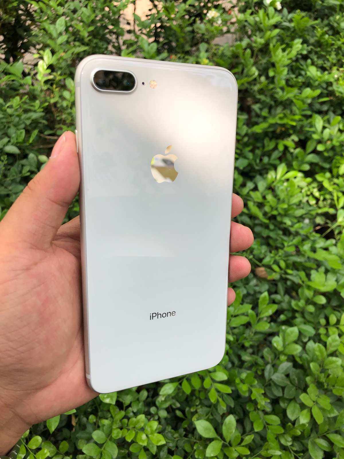 韩版苹果8价格及图片三星note8韩版五件套-第1张图片-亚星国际官网