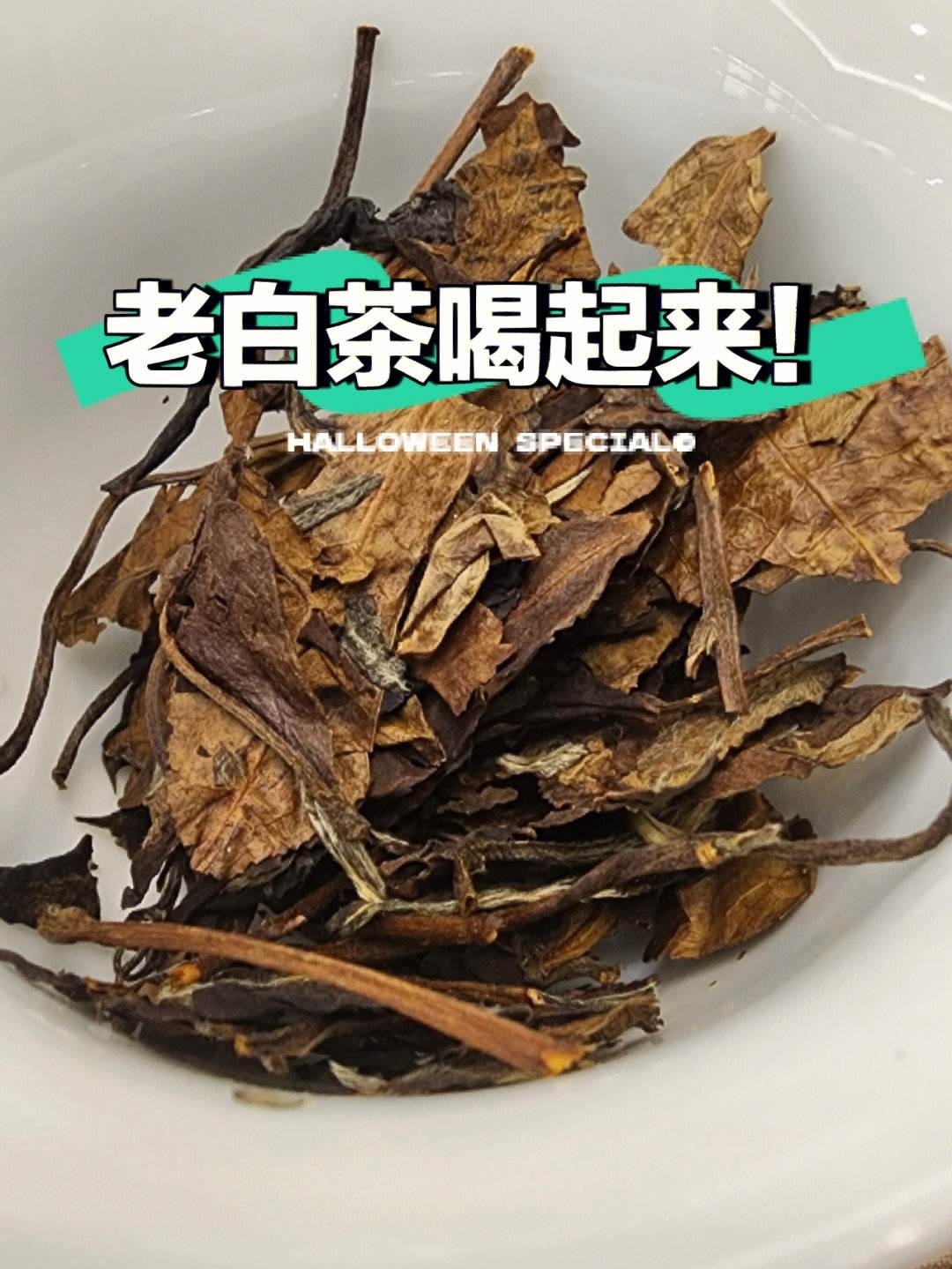 plotagragh安卓版plotagraph电脑版下载-第2张图片-亚星国际官网