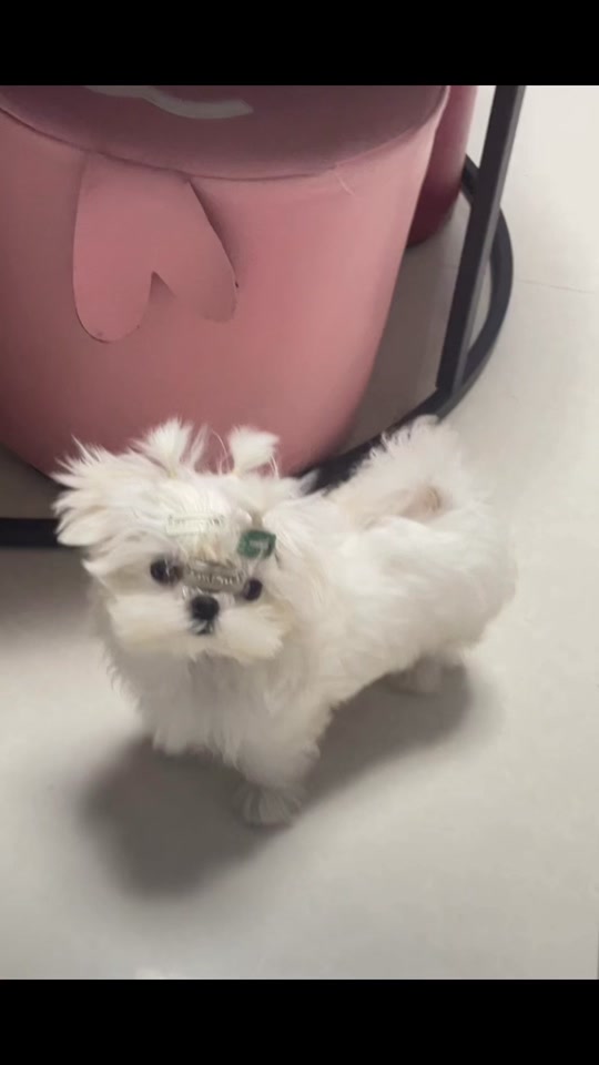2019灵敏度设置手机版使命召唤手游灵敏度设置最佳灵敏度分享码-第2张图片-亚星国际官网