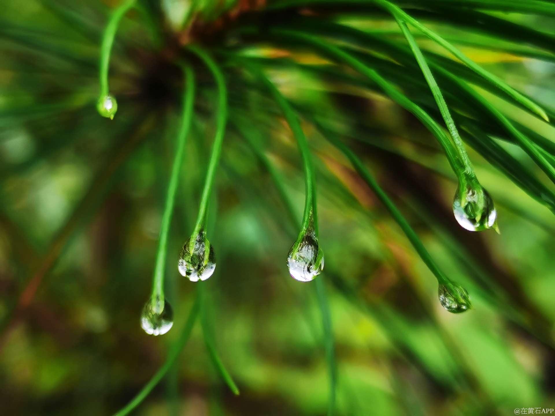 雨滴客户端是什么360小水滴电脑客户端-第2张图片-亚星国际官网