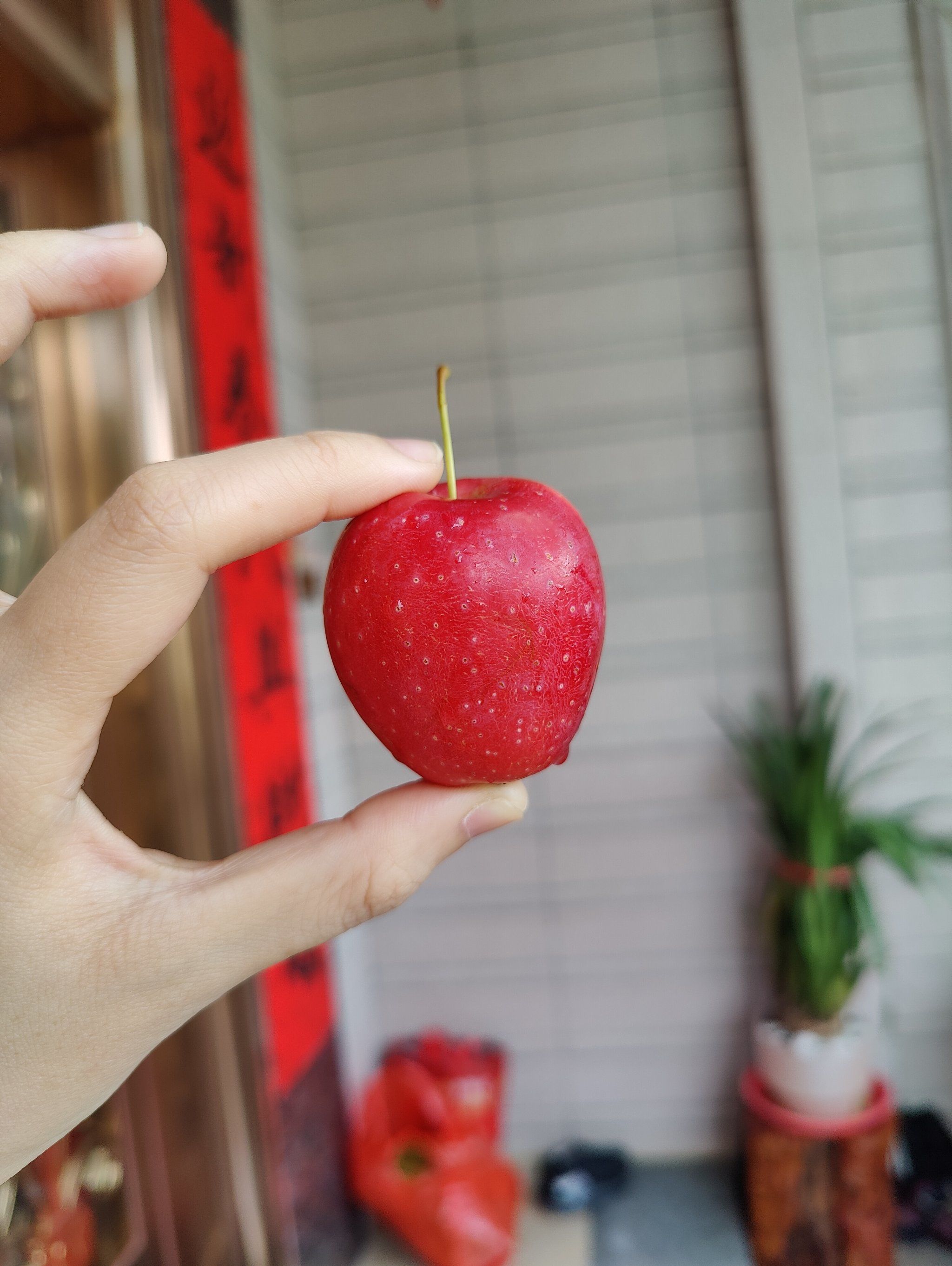 儿童版简单版小苹果(小苹果儿童版 儿童舞)-第2张图片-QuickQ官网