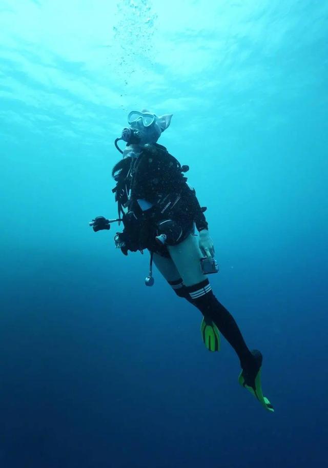 泰拉瑞亚手机版潜水(泰拉瑞亚潜水用具可以合成什么)-第3张图片-QuickQ官网