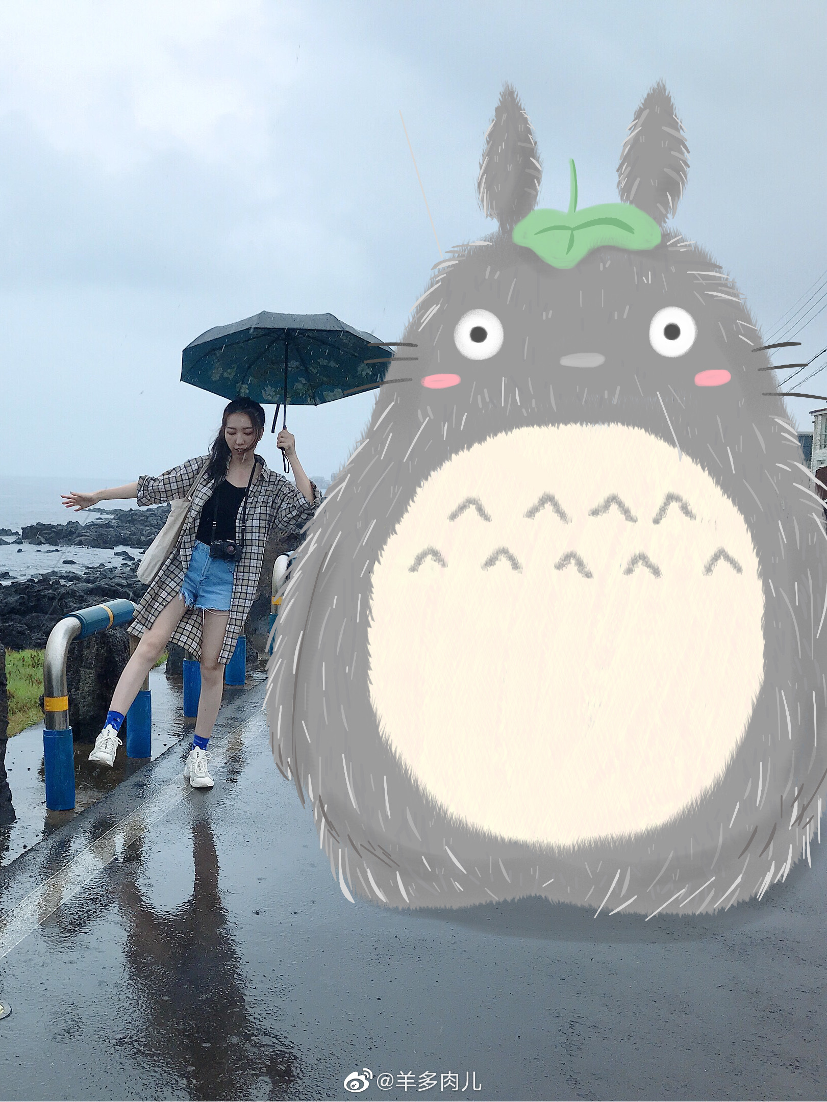 苹果版picsart(苹果版三国志战略版安卓可以玩吗)-第4张图片-QuickQ官网