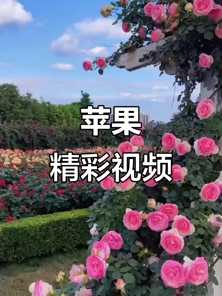 网易视频苹果版(网易视频最新版本)-第5张图片-QuickQ官网