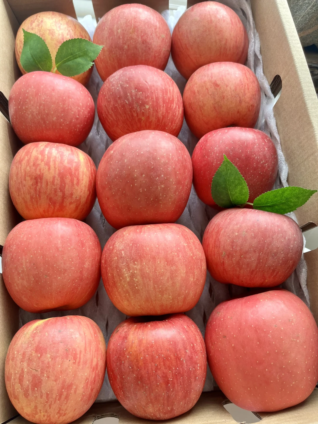 大碗版苹果(苹果大餐图片)-第3张图片-QuickQ官网 大碗版苹果(苹果大餐图片)-第3张图片-QuickQ官网