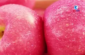 agl苹果版(agario download)