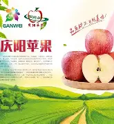 苹果果版测量(苹果的测量软件在哪里)-第2张图片-QuickQ官网 苹果果版测量(苹果的测量软件在哪里)-第2张图片-QuickQ官网