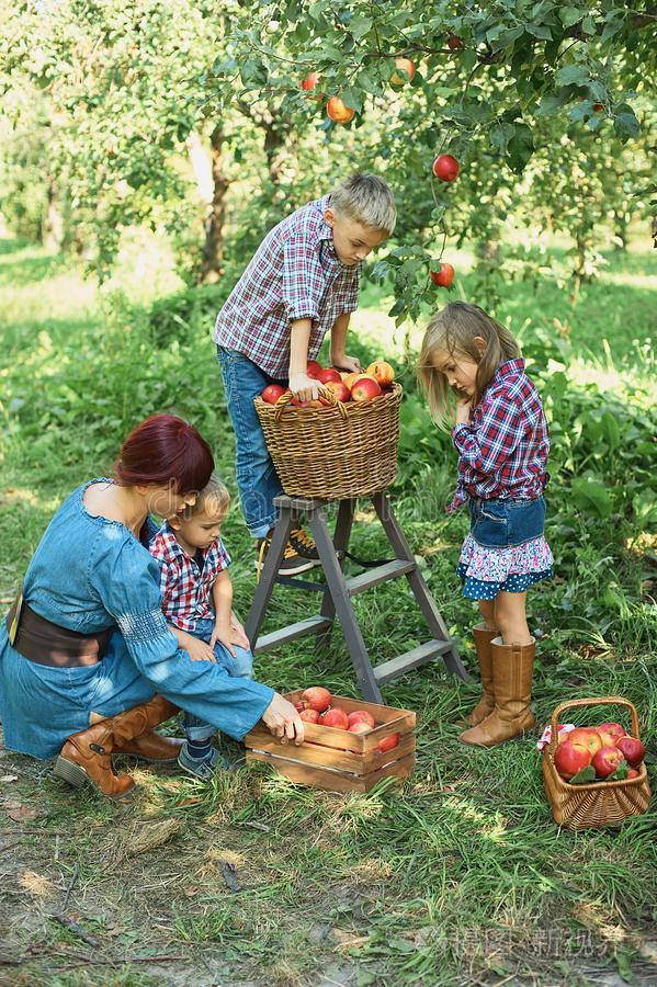 小孩版苹果(苹果小孩壁纸)-第2张图片-QuickQ官网