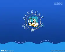 手机版小蓝猫测试版(小蓝猫app直播下载官方版)