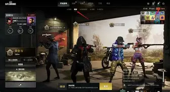 绝地求生中文手机版(绝地求生中文免费下载)-第5张图片-QuickQ官网